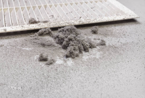 Best Residential Air Duct Cleaning  in Jan Phyl Village, FL