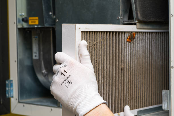 Best Affordable HVAC Duct Cleaning  in Jan Phyl Village, FL